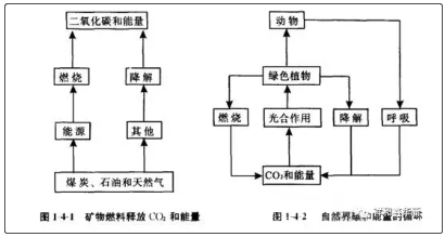 鑫華新：生物質(zhì)專用爐具助力“碳中和”2