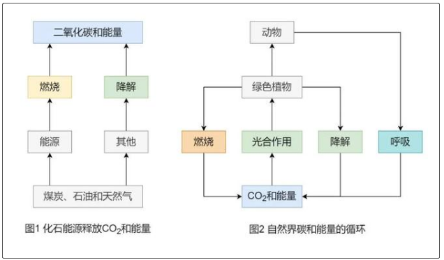 為什么說生物質(zhì)能是“零碳”能源