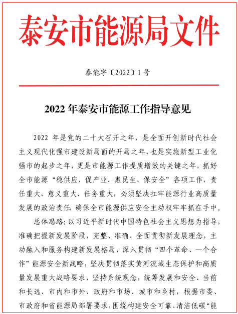 加快發(fā)展有規(guī)模有效益的太陽(yáng)能、生物質(zhì)能等新能源。