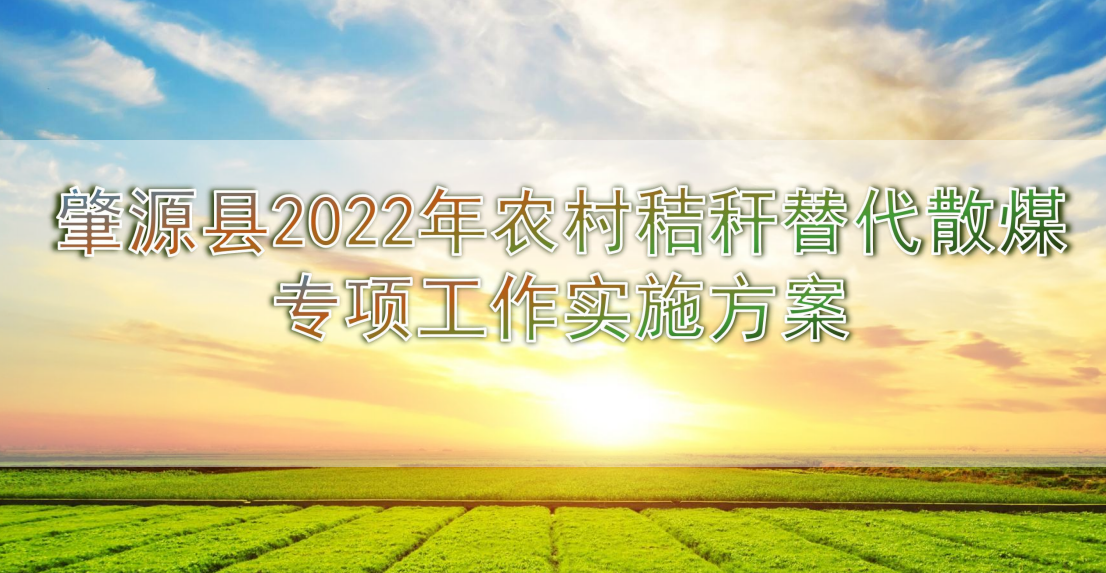 改造或新建生物質(zhì)鍋爐替代燃煤鍋爐